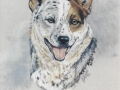 canine-art-julie-woods