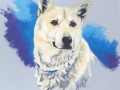 canine-friend-art-julie-woods