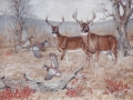 deer-commissioned-art-julie-woods