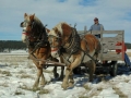 western-photo-by-julie-woods